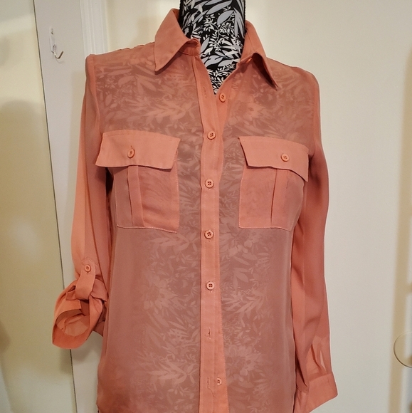 Button front chiffon long sleeves buttondown shirt sheer - Picture 2 of 6